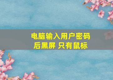 电脑输入用户密码后黑屏 只有鼠标